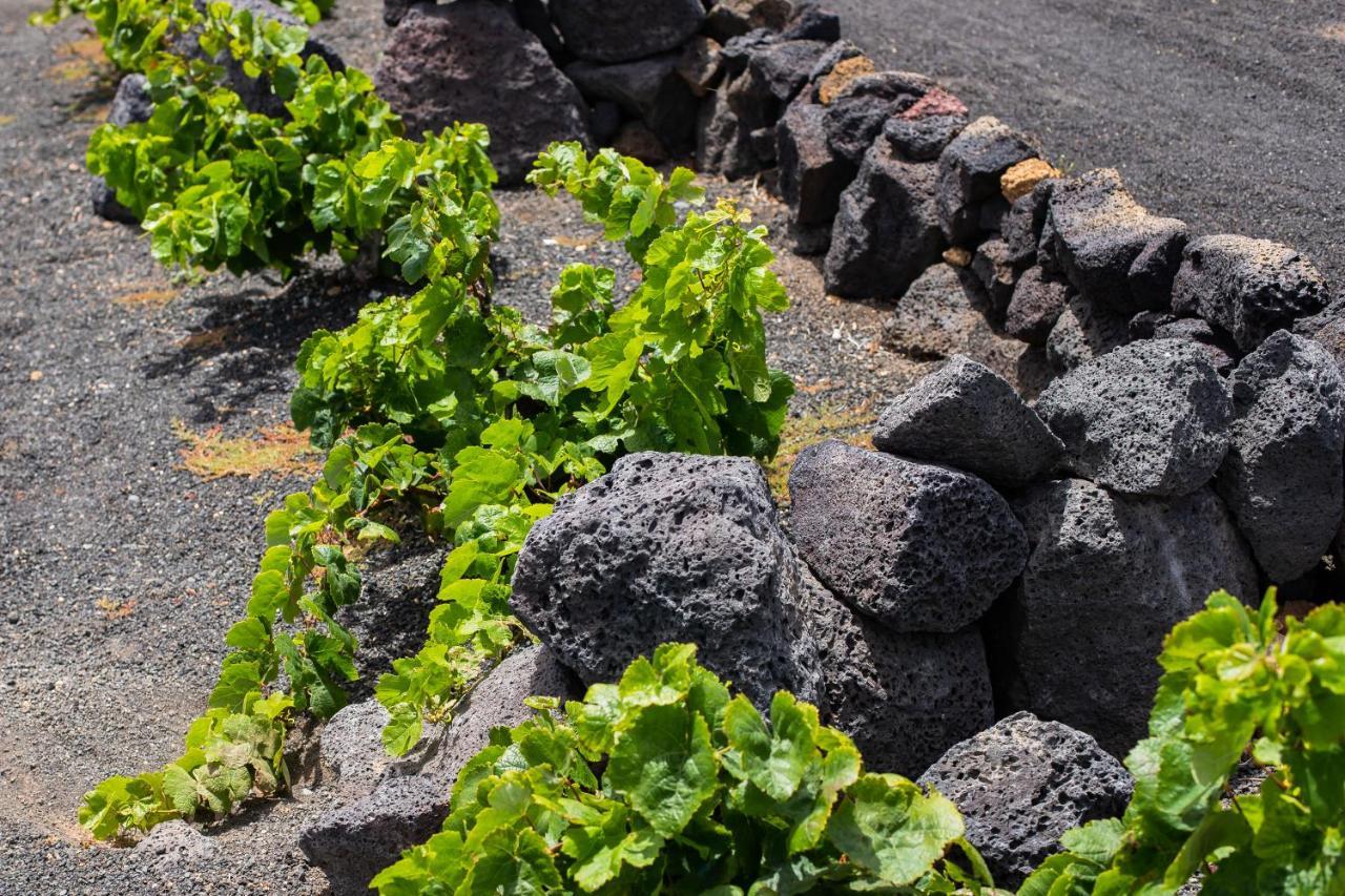 Eslanzarote Eco Dome Experience Vakantiepark *